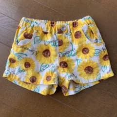 ひまわりのショーパンのサムネイル