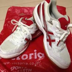 【お値下げ交渉可】美品 asicsバレーシューズ24cmのサムネイル