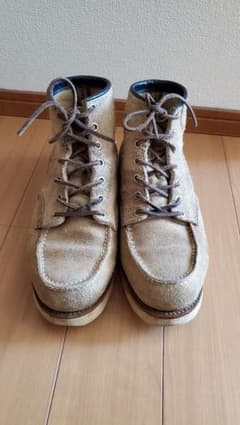 レッドウィングのサムネイル