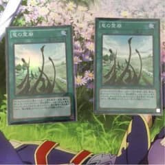 竜の霊廟2枚セットのサムネイル