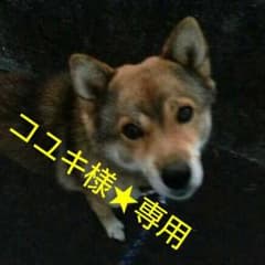 コユキ様★専用のサムネイル