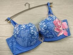 ワコール サルート 76グループ F75 店舗限定版 リッチベールブラジャーのサムネイル