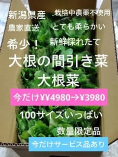 新鮮採れたて！農家直送！レア商品！大根の間引き菜100サイズいっぱいのサムネイル