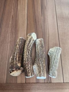 シカの角のサムネイル
