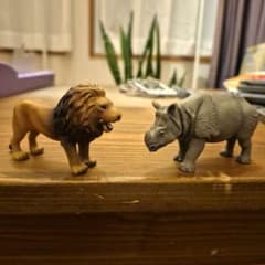 アニア　インドサイ、ライオンセット売り 動物フィギュア　ライオンカード付きのサムネイル