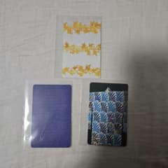 ピカチュウの森カード ポケモン工芸展　ゲンガー　ゴースト　島つなぎ　ライチュウ ピカチュウの森カード ポケモン工芸展 ゲンガー ゴースト 島つなぎ