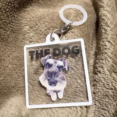 THE DOG フラットめじるしアクセサリー【ミニチュア・シュナウザー】のサムネイル