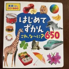はじめてずかん これ、な〜に？650 英語つきのサムネイル