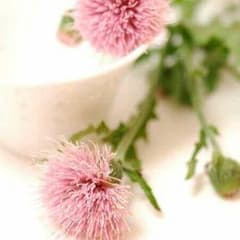 専用出品のサムネイル