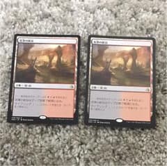 MTG 泥濘の峡谷 日本語2枚セットのサムネイル