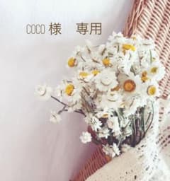 coco様　専用ページのサムネイル