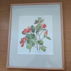 小磯良平 ヤブツバキ 複製画 額入り - メルカリ