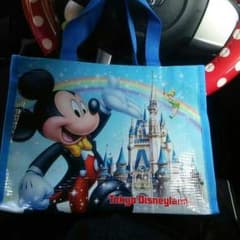(値下げ)ディズニーランドで12/28にゲット❗ かわいいです(*^^*)のサムネイル