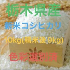 栃木県産 新米コシヒカリ 精米後9kg - メルカリ