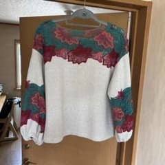 花柄刺繍レース切り替え長袖トップスのサムネイル
