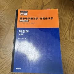 解剖学のサムネイル