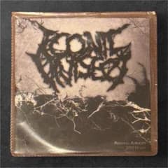 CD Iconic Vivisect / 2010 Demosのサムネイル