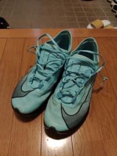 NIKE　ズームフライのサムネイル