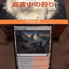 MTG 日本語　憑依された峰のサムネイル