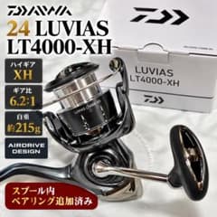 ダイワ24ルビアス LT4000-XH DAIWA LUVIAS ベアリング追加