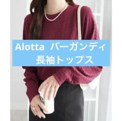 Alotta ジャガードトップス 未使用品