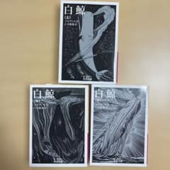 白鯨 上中下巻セット 岩波文庫 メルヴィル 八木敏雄訳のサムネイル
