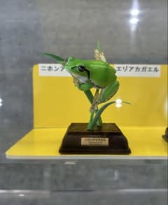 日本のカエル　特装版　ニホンアマガエル　ガチャガチャ　新品のサムネイル