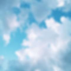 ウサギ様専用のサムネイル