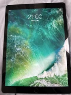 iPad Pro 第1世代  12.9インチ スペースグレイのサムネイル