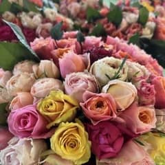 短め‼︎バラ 《切り花 生花 》おまかせMIX　20㎝ 50本　産地直送❗️鮮度抜群のサムネイル