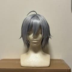 ツイステ シルバー(セット済みウィッグ） - メルカリ