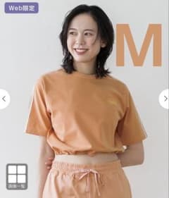 LAVA SUKALAブラトップ付きラインクロップドTee M スモークオレンジ