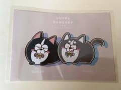 おそ松さん 松犬 ミックスガーデン 特典 ブロマイド 色松のサムネイル