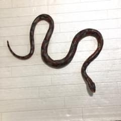 野生動物フィギュア　ヘビのサムネイル