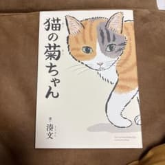 猫の菊ちゃん