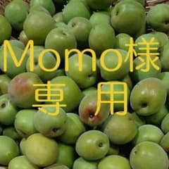 Momo様 専用青梅 20kgのサムネイル