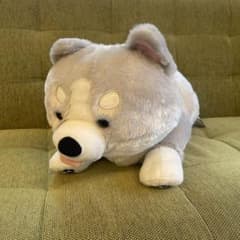 FANS ハスキーの子犬　ぬいぐるみXL プレミアム
