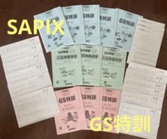 【書込みなし】SAPIX 　GS特訓　2024年度版 書込みなし】SAPIX GS特訓 2024年度版 - メルカリ