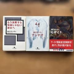 アンテナ モザイク もう消費すら快楽じゃない彼女へ　田口ランディセット 幻冬舎のサムネイル