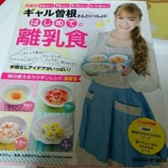 ギャル曽根さんといっしょにはじめての離乳食 : フリージング ストック食材 フ…のサムネイル