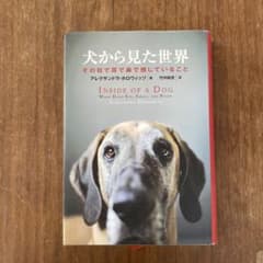 犬から見た世界 : その目で耳で鼻で感じていることのサムネイル