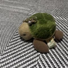 カメ ぬいぐるみ マスコット キーホルダー