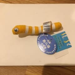 ニシキアナゴ マグネットのサムネイル