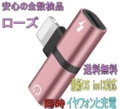 2in1 イヤホン 充電 BLACK PINK SILVA コメントで色指定！のサムネイル
