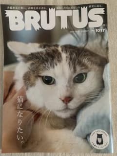 BRUTUS 猫特集 2024年10月15日号 No.1017のサムネイル