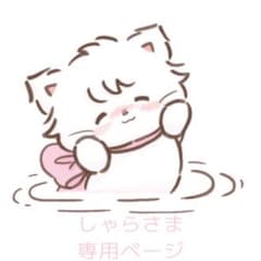 しゃら様 専用ページのサムネイル
