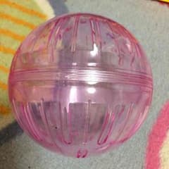 ハムボールのサムネイル