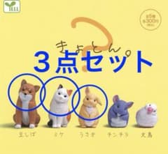 YELL きょとん。 豆しば ミケ うさぎ 3点セット ガチャガチャのサムネイル