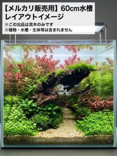 一点物天然流木 アクアリウム 水草水槽 爬虫類 両生類 テラリウム インテリアのサムネイル
