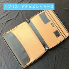CYPRISキプリス ドキュメントケース メンズフライヤースタイル - メルカリ